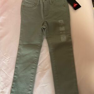 GAP Sage Green Denim Pants